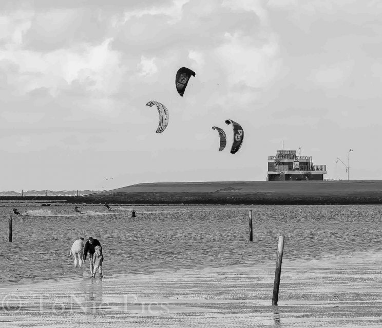 tom bloggt seinen alltag norddeich urlaub hunde hundeurlaub hundestrand strand