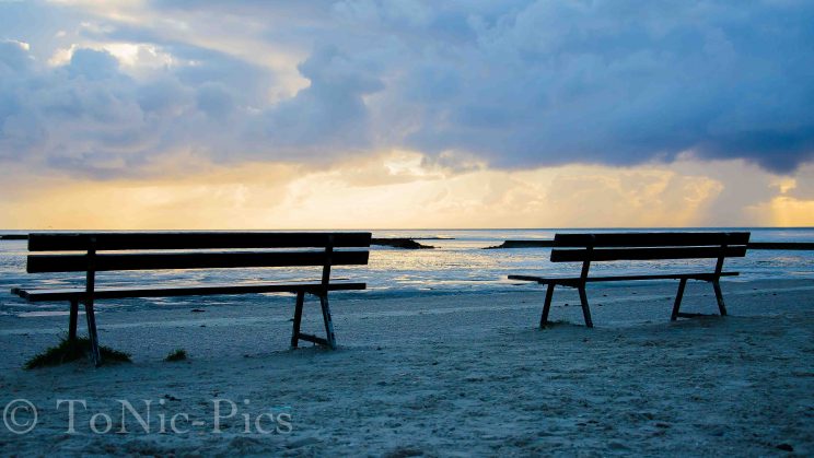 tom bloggt seinen alltag norddeich urlaub hunde hundeurlaub hundestrand strand