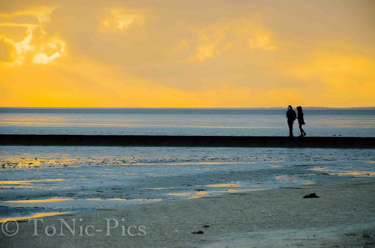 tom bloggt seinen alltag norddeich urlaub hunde hundeurlaub hundestrand strand