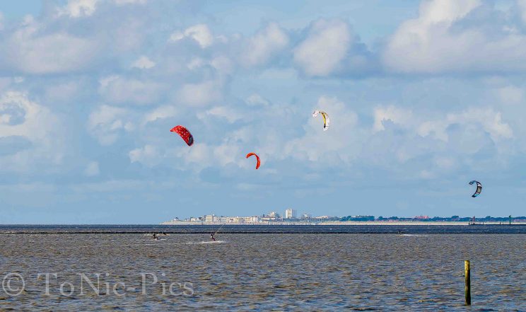 tom bloggt seinen alltag norddeich urlaub hunde hundeurlaub hundestrand strand