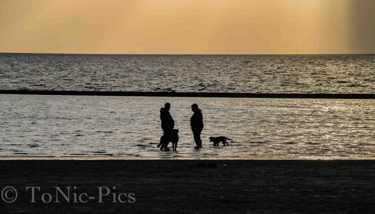 tom bloggt seinen alltag norddeich urlaub hunde hundeurlaub hundestrand strand