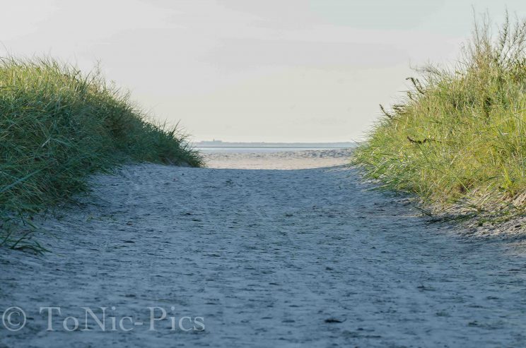 tom bloggt seinen alltag norddeich urlaub hunde hundeurlaub hundestrand strand