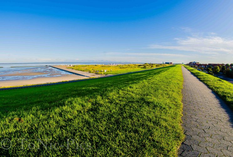 tom bloggt seinen alltag norddeich urlaub hunde hundeurlaub hundestrand strand