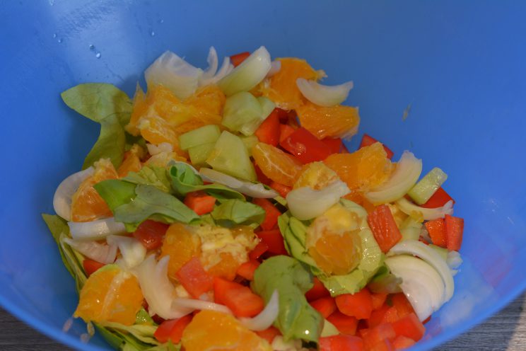 Tom bloggt seinen Alltag Toms Kochecke Sojamedallions mit fruchtigen Salat