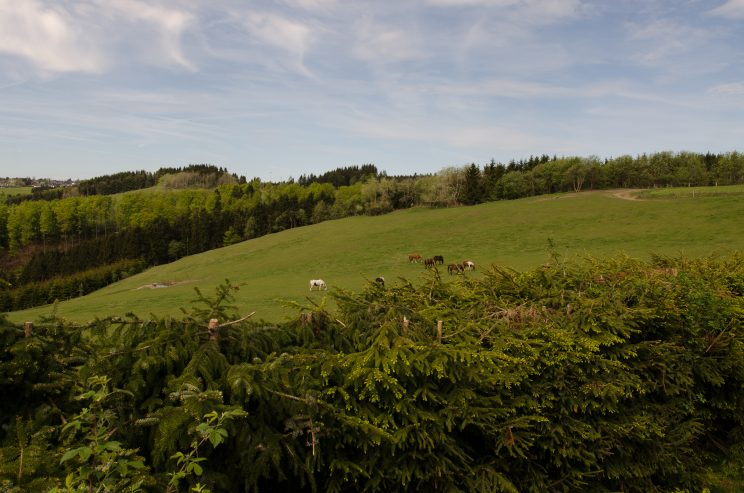 manni abgefahren, das erste Mal Camping - Bericht Stellplatz Winterberg, tom bloggt seinen alltag