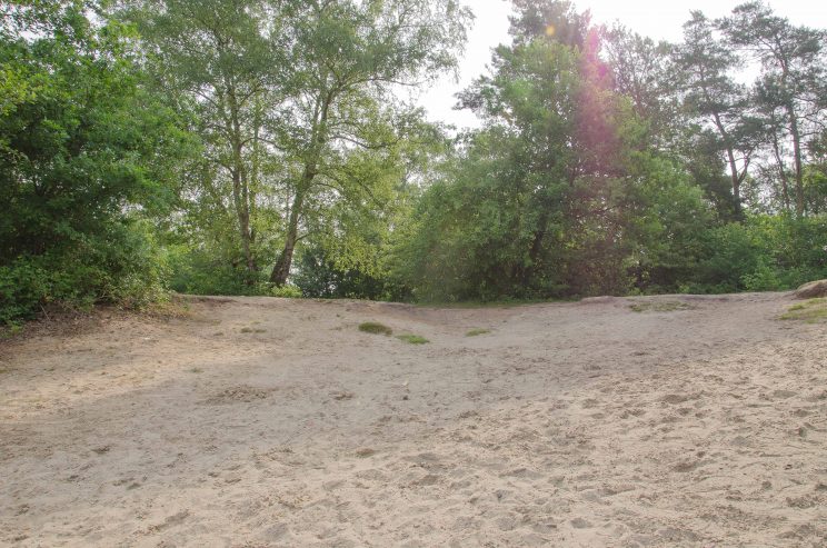 Tom bloggt seinen Alltag, manni abgefahren, schwimmen mit kyra, bericht campingplatz haddorfer see