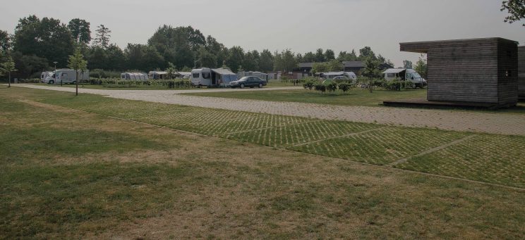 Tom bloggt seinen Alltag, manni abgefahren, schwimmen mit kyra, bericht campingplatz haddorfer see