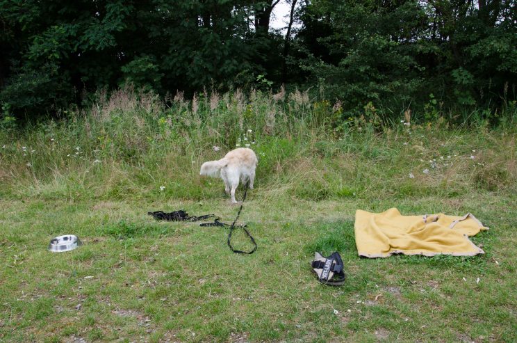 tom bloggt seinen alltag, manni abgefahren, fahrt an den senftenberger see, bericht wohnmobilstellplatz buchwalde am senftenberger see