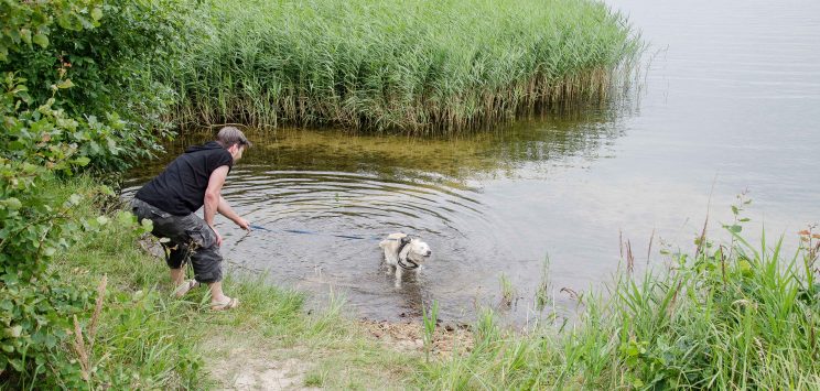 tom bloggt seinen alltag, manni abgefahren, fahrt an den senftenberger see, bericht wohnmobilstellplatz buchwalde am senftenberger see