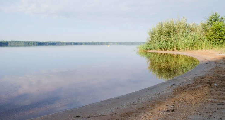 tom bloggt seinen alltag, manni abgefahren, fahrt an den senftenberger see, bericht wohnmobilstellplatz buchwalde am senftenberger see