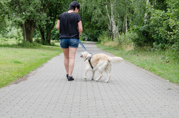 tom bloggt seinen alltag, manni abgefahren, fahrt an den senftenberger see, bericht wohnmobilstellplatz buchwalde am senftenberger see