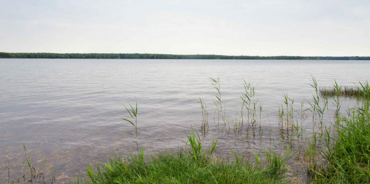 tom bloggt seinen alltag, manni abgefahren, fahrt an den senftenberger see, bericht wohnmobilstellplatz buchwalde am senftenberger see