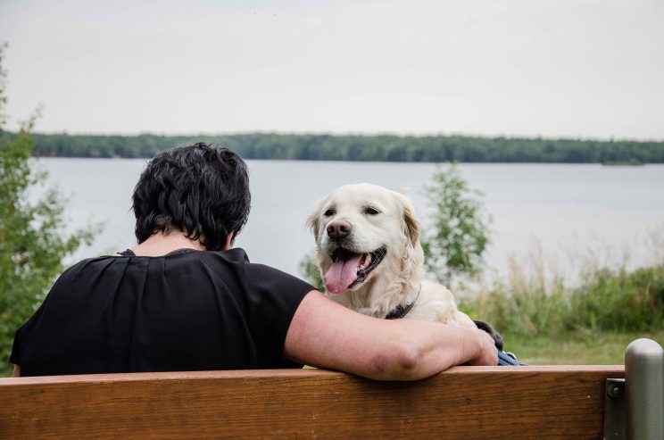 tom bloggt seinen alltag, manni abgefahren, fahrt an den senftenberger see, bericht wohnmobilstellplatz buchwalde am senftenberger see