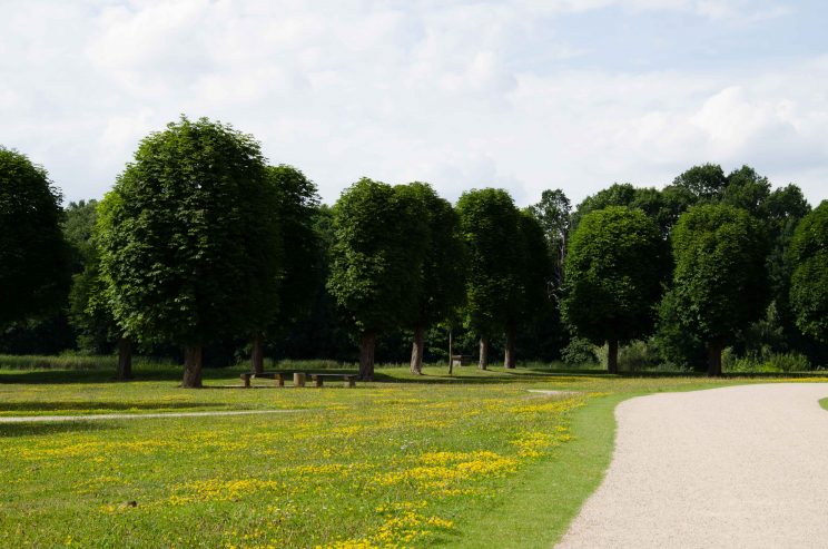 tom bloggt seinen alltag, manni abgefahren, auf den spuren von aschenbrödel, wohnmobilstellplatz moritzburg