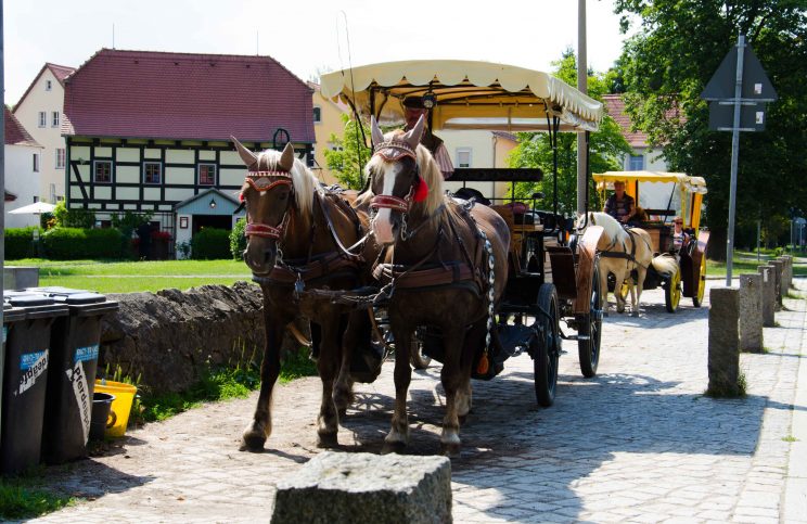 tom bloggt seinen alltag, manni abgefahren, auf den spuren von aschenbrödel, wohnmobilstellplatz moritzburg