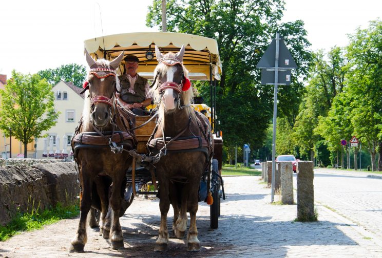 tom bloggt seinen alltag, manni abgefahren, auf den spuren von aschenbrödel, wohnmobilstellplatz moritzburg