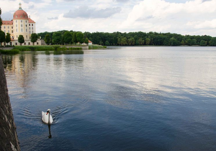 tom bloggt seinen alltag, manni abgefahren, auf den spuren von aschenbrödel, wohnmobilstellplatz moritzburg