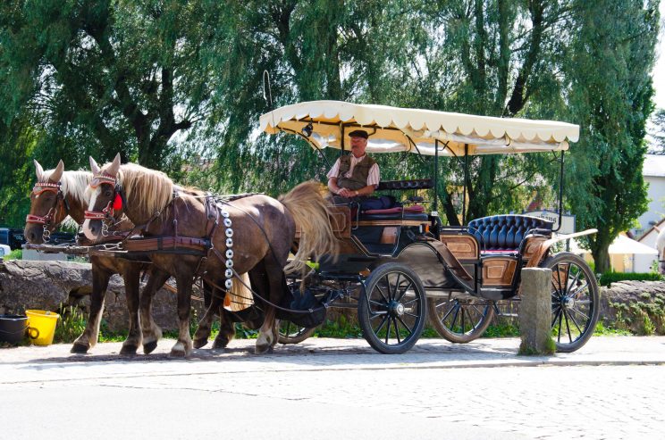 tom bloggt seinen alltag, manni abgefahren, auf den spuren von aschenbrödel, wohnmobilstellplatz moritzburg